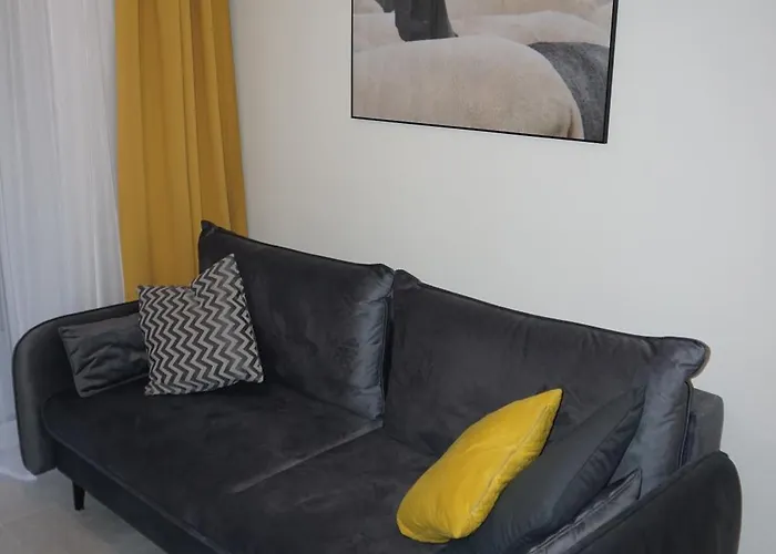 Czarne Owce Apartamento